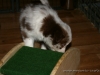cIMG_1340