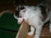 cIMG_1347