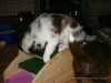 cIMG_1352