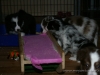 cIMG_1367