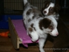 cIMG_1373