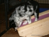 cIMG_1416