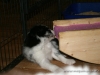 cIMG_1418