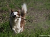 cimg_4121