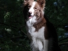 cimg_4328