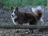 cimg_4519