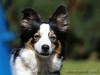 c1IMG_8601