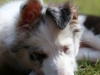 c1IMG_8713