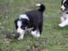 cimg_0591