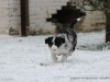 cIMG_2931