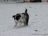 cIMG_2937