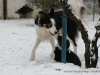 cIMG_2939