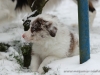 cIMG_2954