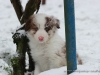 cIMG_2957
