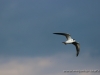 cIMG_6749.jpg