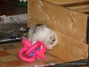 comp_dsc02006