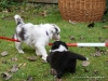 comp_dsc02007