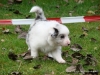 comp_dsc02019