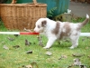comp_dsc02026