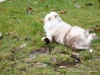 comp_dsc02027