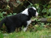 comp_dsc02029