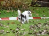 comp_dsc02030