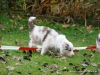 comp_dsc02032