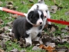 comp_dsc02042