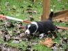 comp_dsc02045