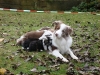 comp_dsc02064