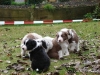 comp_dsc02078