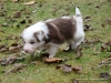 comp_dsc02080