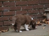 comp_dsc02086