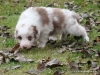 comp_dsc02093