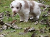 comp_dsc02094