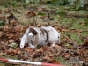 comp_dsc02097