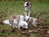 comp_dsc02100