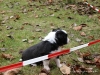 comp_dsc02107