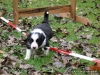 comp_dsc02117