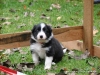 comp_dsc02120