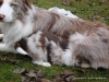 comp_dsc02140