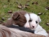 comp_dsc02142