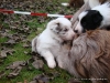 comp_dsc02146