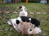 comp_dsc02148