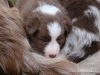 comp_dsc02156