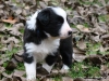 comp_dsc02172