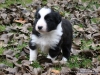 comp_dsc02174