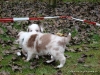 comp_dsc02178