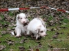 comp_dsc02180