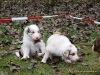 comp_dsc02181